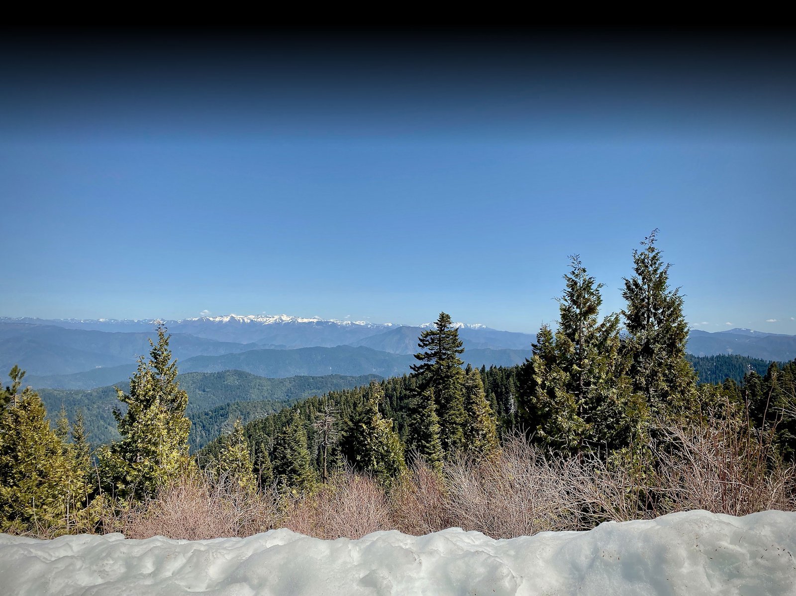 redwood-forest-winter-snow-air-bnb-rental-humboldt-county-ca